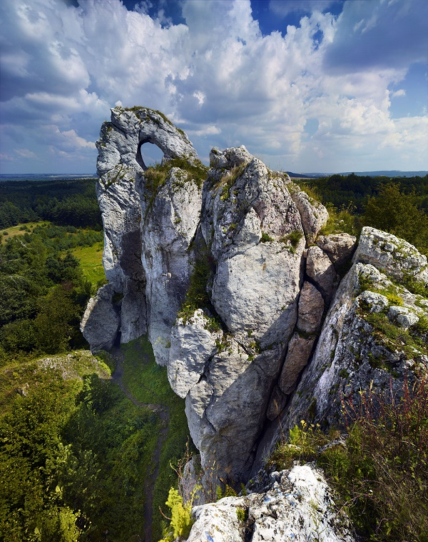 Mirowa Castle Ruins